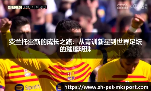 费兰托雷斯的成长之路：从青训新星到世界足坛的璀璨明珠