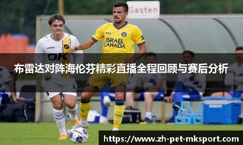 布雷达对阵海伦芬精彩直播全程回顾与赛后分析