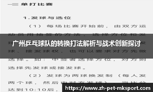 广州乒乓球队的转换打法解析与战术创新探讨