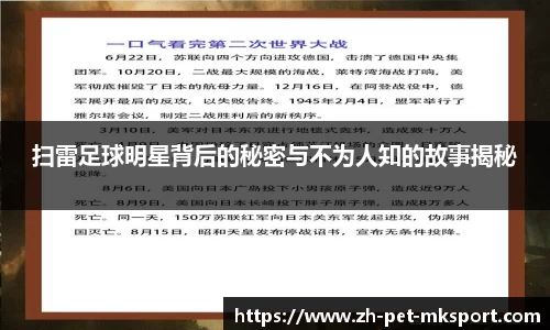扫雷足球明星背后的秘密与不为人知的故事揭秘