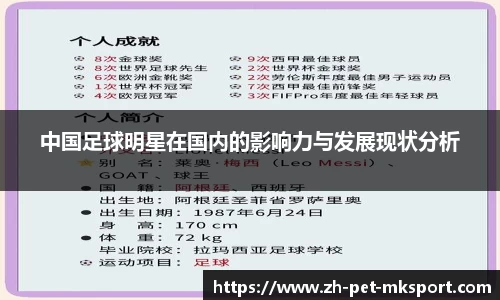 中国足球明星在国内的影响力与发展现状分析