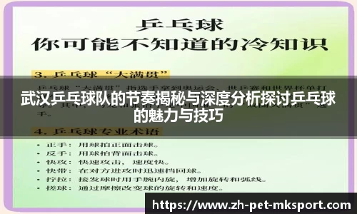 武汉乒乓球队的节奏揭秘与深度分析探讨乒乓球的魅力与技巧